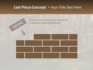 Senior Water Lifestyle PowerPoint Template