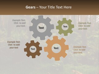 Senior Water Lifestyle PowerPoint Template