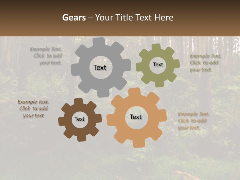 Senior Water Lifestyle PowerPoint Template