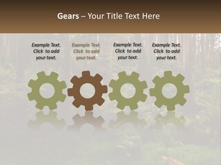 Senior Water Lifestyle PowerPoint Template