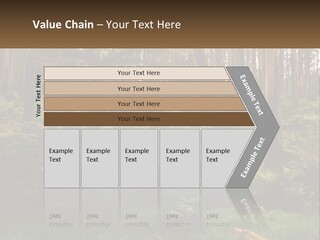 Senior Water Lifestyle PowerPoint Template