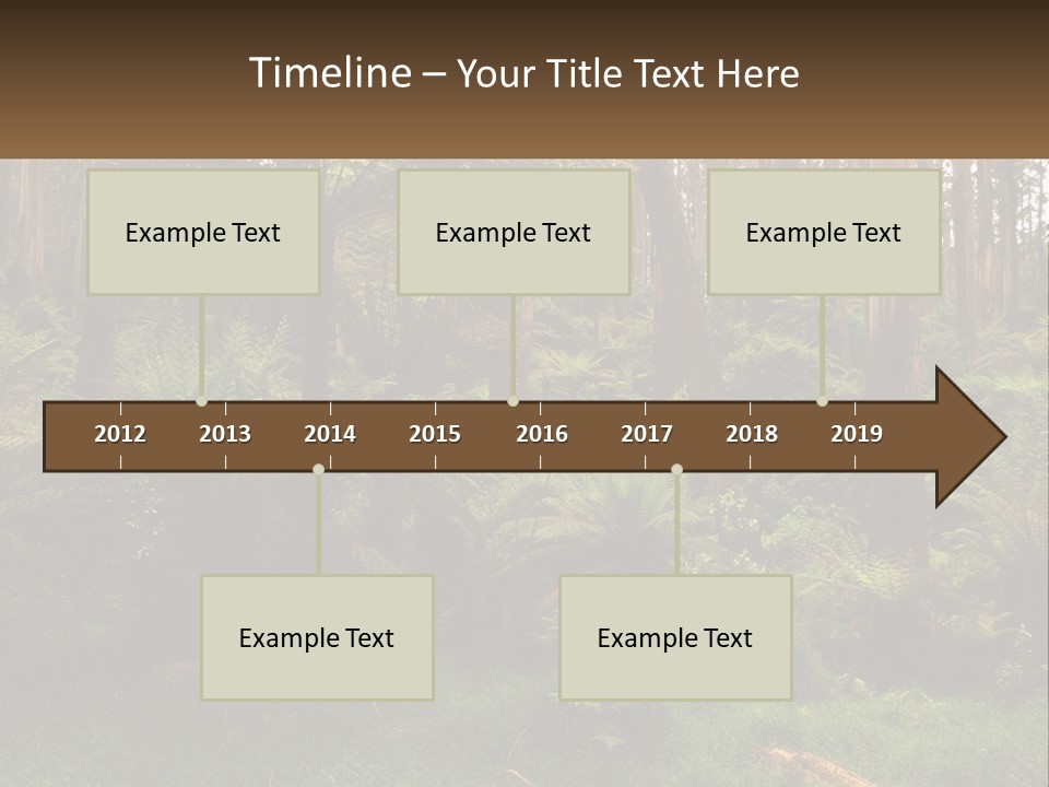 Senior Water Lifestyle PowerPoint Template