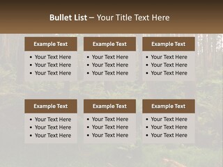 Senior Water Lifestyle PowerPoint Template