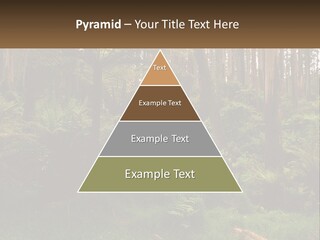 Senior Water Lifestyle PowerPoint Template