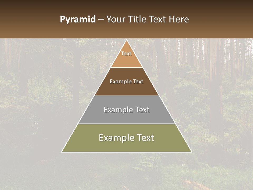 Senior Water Lifestyle PowerPoint Template