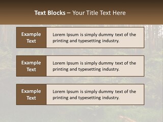 Senior Water Lifestyle PowerPoint Template
