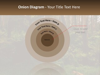 Senior Water Lifestyle PowerPoint Template