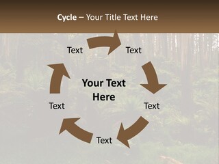 Senior Water Lifestyle PowerPoint Template