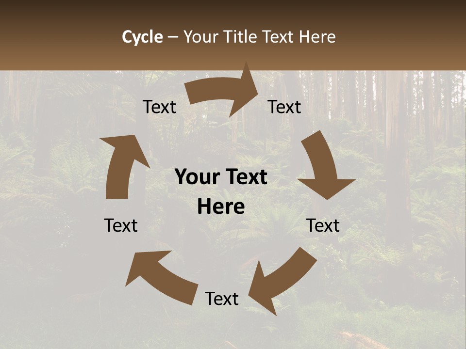 Senior Water Lifestyle PowerPoint Template