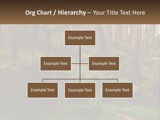 Senior Water Lifestyle PowerPoint Template
