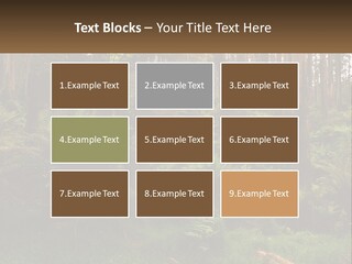 Senior Water Lifestyle PowerPoint Template