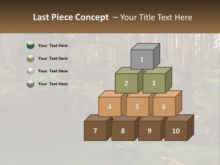 Senior Water Lifestyle PowerPoint Template