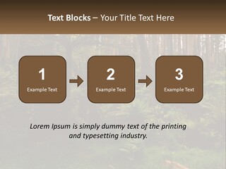 Senior Water Lifestyle PowerPoint Template