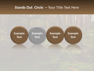 Senior Water Lifestyle PowerPoint Template