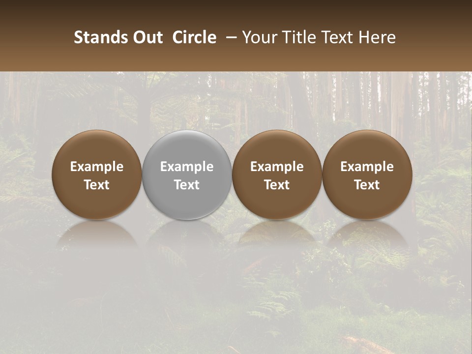 Senior Water Lifestyle PowerPoint Template