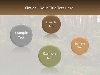 Senior Water Lifestyle PowerPoint Template