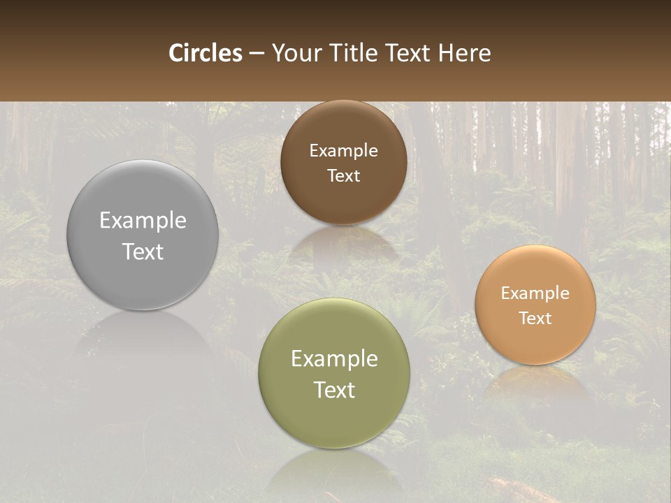Senior Water Lifestyle PowerPoint Template