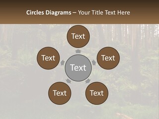 Senior Water Lifestyle PowerPoint Template