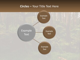 Senior Water Lifestyle PowerPoint Template
