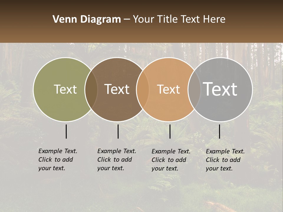 Senior Water Lifestyle PowerPoint Template