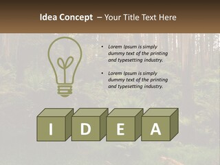 Senior Water Lifestyle PowerPoint Template