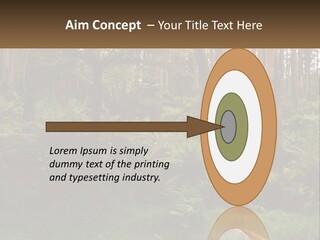 Senior Water Lifestyle PowerPoint Template