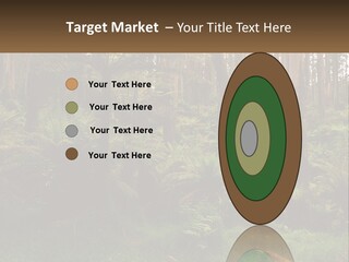 Senior Water Lifestyle PowerPoint Template