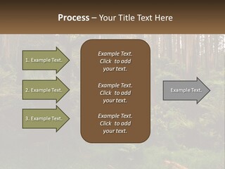 Senior Water Lifestyle PowerPoint Template