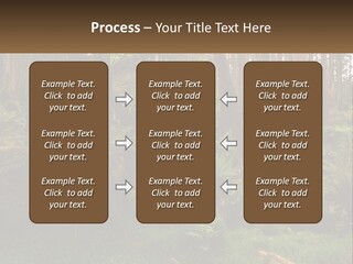 Senior Water Lifestyle PowerPoint Template