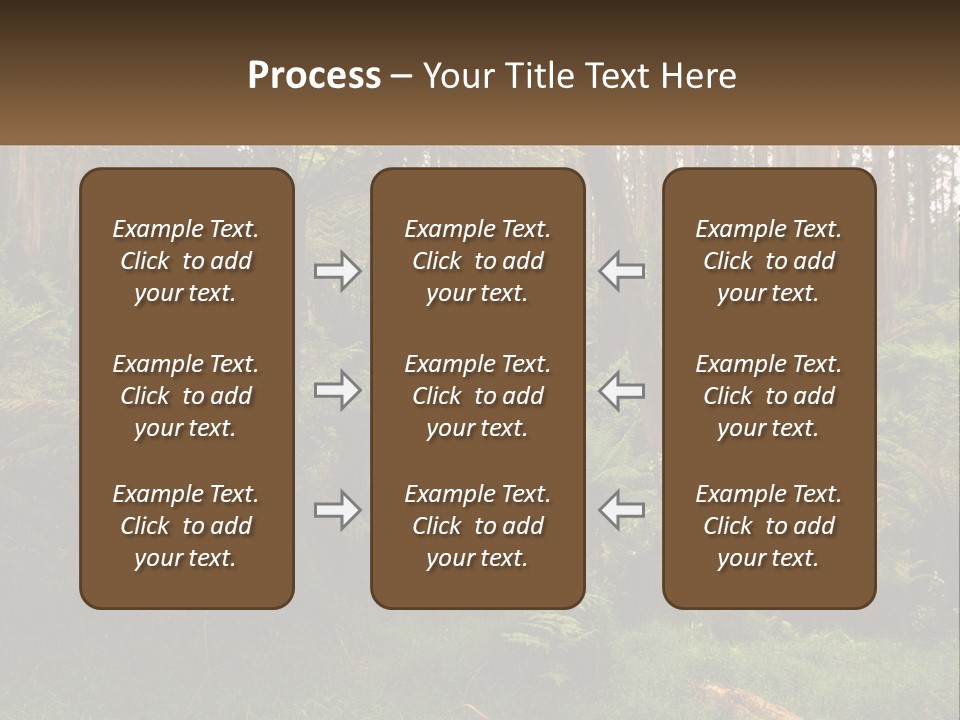 Senior Water Lifestyle PowerPoint Template