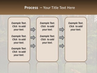 Senior Water Lifestyle PowerPoint Template