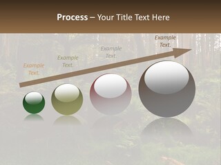 Senior Water Lifestyle PowerPoint Template