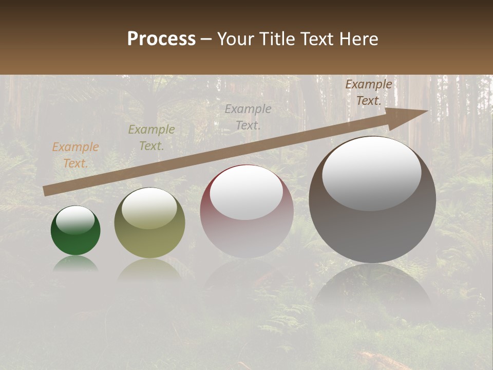 Senior Water Lifestyle PowerPoint Template