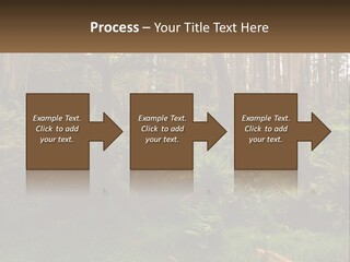 Senior Water Lifestyle PowerPoint Template