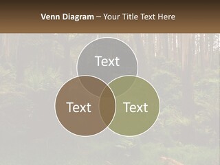 Senior Water Lifestyle PowerPoint Template