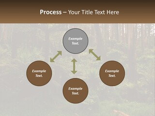 Senior Water Lifestyle PowerPoint Template