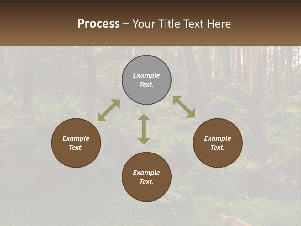 Senior Water Lifestyle PowerPoint Template