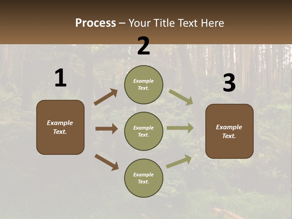 Senior Water Lifestyle PowerPoint Template