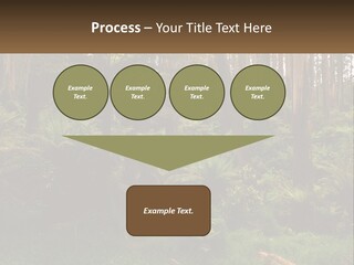 Senior Water Lifestyle PowerPoint Template