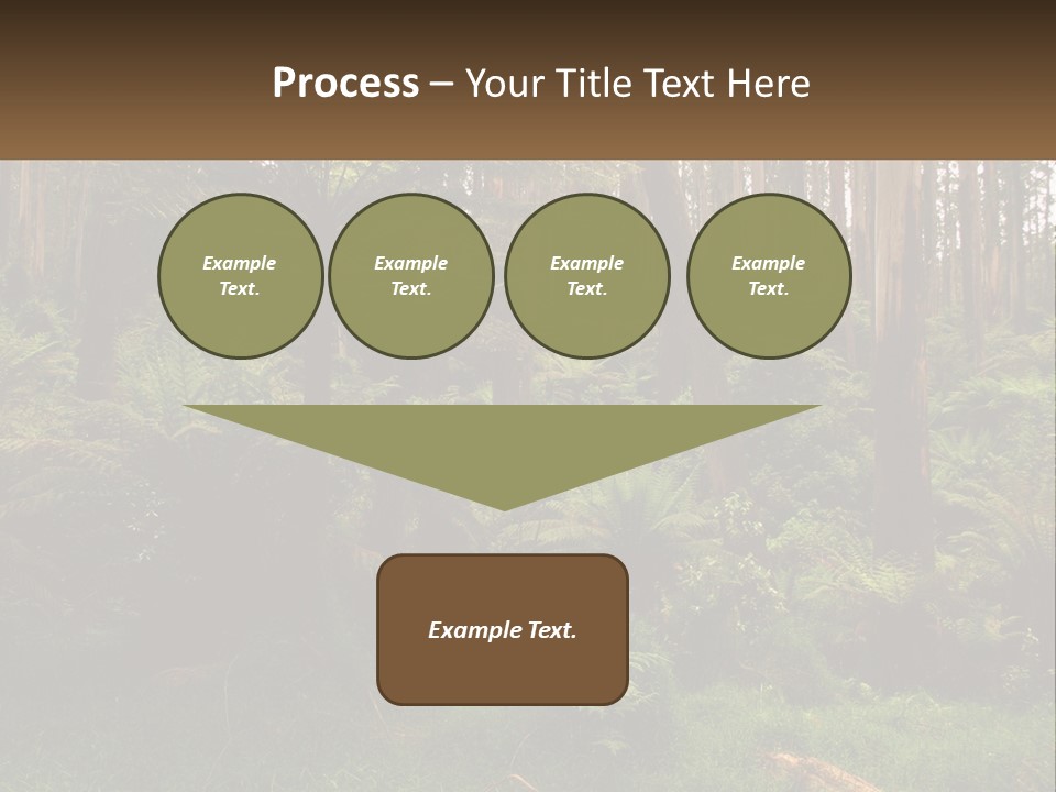 Senior Water Lifestyle PowerPoint Template