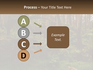 Senior Water Lifestyle PowerPoint Template