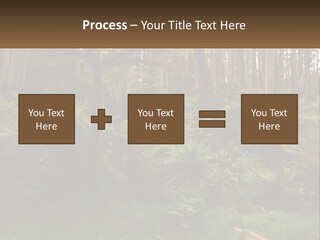 Senior Water Lifestyle PowerPoint Template