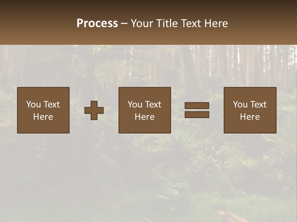 Senior Water Lifestyle PowerPoint Template
