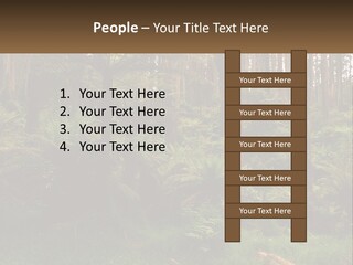Senior Water Lifestyle PowerPoint Template