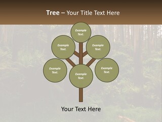 Senior Water Lifestyle PowerPoint Template
