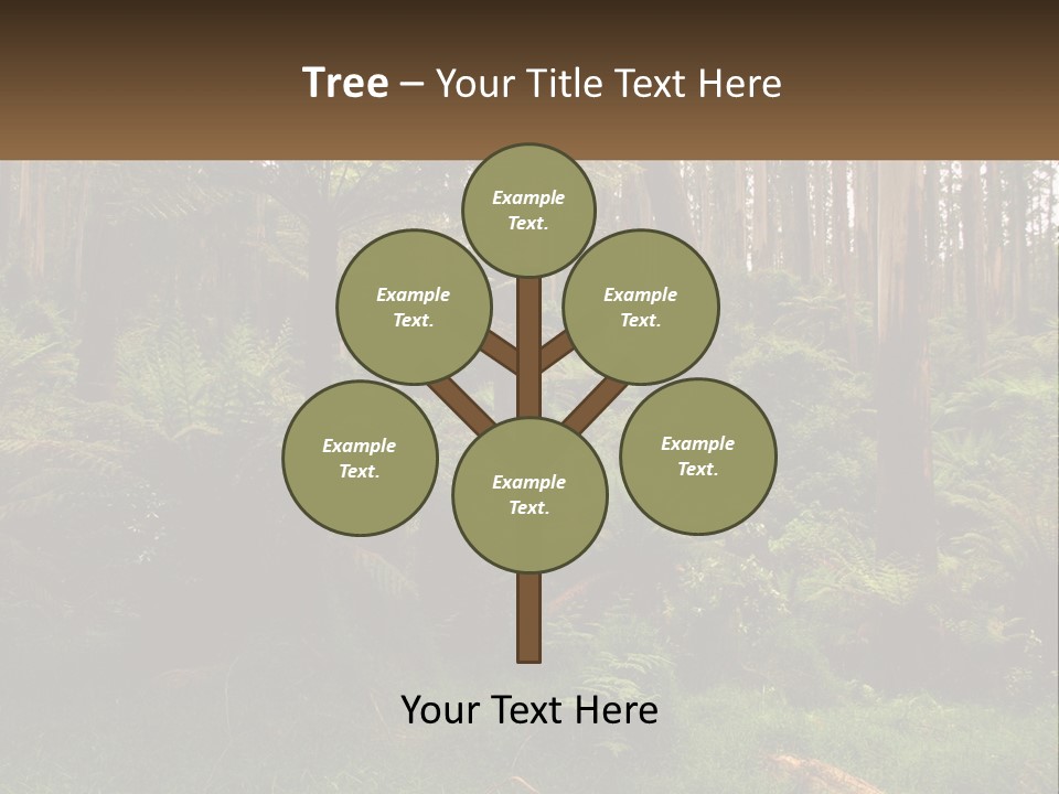 Senior Water Lifestyle PowerPoint Template