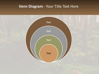 Senior Water Lifestyle PowerPoint Template