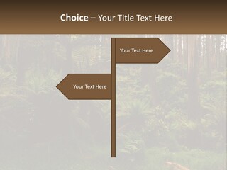 Senior Water Lifestyle PowerPoint Template
