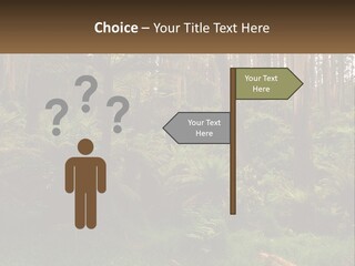 Senior Water Lifestyle PowerPoint Template