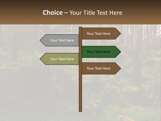 Senior Water Lifestyle PowerPoint Template